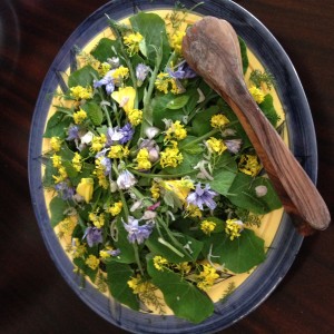 wilde salade